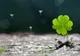 Zodiile cu noroc la BANI în luna august. Se îmbogăţesc peste noapte, dar riscă să piardă totul. Cum?