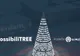 VIDEO. Cum va arăta bradul de Crăciun din Timişoara? Este NEOBIŞNUIT şi va fi înalt de 15 metri