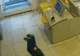 Ce PEDEPSE DURE au primit cei care au trecut pe lângă un bătrân căzut şi l-au IGNORAT