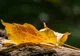Iar se schimbă vremea. Ce temperaturi vor fi marți, miercuri și joi