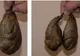 Ingrediente dezgustătoare pe care cu siguranţă le-ai folosit cel puţin o dată fără să ştii