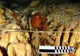 "Gaura neagră a morţii" subacvatică. Descoperirea uimitoare făcută de cercetătorii