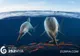 Descoperire de senzaţie:cea mai mare FOSILĂ a unui "dragon de mare".A trăit acum 200 milioane de ani