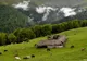 Minunea de la stână. Povestea incredibilă a copilului născut în mijlocul naturii