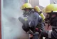 INCENDIU la o fabrică de artificii din India: 8 morţi, peste 20 de răniţi