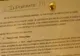 Români discriminaţi în Spania. Un celebru lanţ de restaurante, dat în judecată