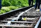 Povestea cutremurătoare a elevului decapitat de tren. Muncise toată vara și visa la facultate