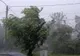 Atenționare meteo de vânt puternic. Vezi județele afectate