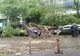 Simţiţi că părul vi se ridică? Ce anunţă acest indiciu. Reguli de supravieţuire în timpul furtunii 
