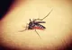 Primele simptome care îţi arată că ai fost infectat cu virusul West Nile. Mergi URGENT la medic!