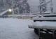 IMAGINI de poveste cu ninsoarea căzută în această dimineață în România 