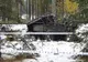 Un tren a spulberat un camion cu militari în Finlanda: cel puțin 4 morți