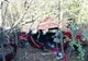 Tragedie rutieră lângă Arad: doi morți și doi răniți grav