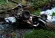 Mașină căzută într-o râpă de aproape 100 de metri. Trei victime