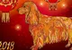 Schimbări majore în 2018, Anul Câinelui de Pământ. Zodiacul chinezesc pentru fiecare zodie