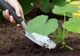 Fermierul care a câştigat 16.500 de euro pentru o SINGURĂ legumă cultivată
