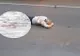 Bărbat în stare gravă, după ce a fost lovit pe trecerea de pietoni. Autorul accidentului a fugit
