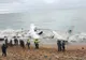 UPDATE: Patru moldoveni, morți în accidentul de avion din Coasta de Fildeș (video)