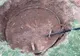 FOTO. Un pasionat căutător de comori a făcut o descoperire uluitoare într-un județ din România