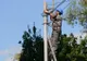 Șocant! Tânăr electrician în stare critică, după ce s-a prăbușit stâlpul cu el