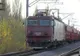 Circulaţia feroviară întreruptă în Harghita, după ce un brad a căzut pe calea ferată