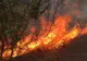 Incendii devastatoare în SUA. Cel puțin 11 oameni au murit