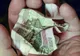 Un pensionar rămas fără bani i-a scris lui Putin, să îi ceară un SICRIU. Ce s-a întâmplat imediat