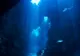 Descoperire stranie a cercetătorilor pe fundul Oceanului, în cel mai adânc loc de pe Pământ