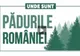 Cât a mai rămas din pădurile României?