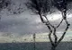 Vești proaste de la Meteo. Cum va fi vremea la început de săptămână