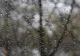 Vremea se răcește accentuat! Prognoza meteo pentru weekend