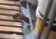Imagini ireale. Şobolani într-o cofetărie din Brăila, mişunând în spatele galantarului cu prăjituri