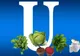 Vitamina U. Ce beneficii are una dintre cele mai puţin cunoscute vitamine