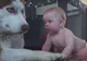 Mama a lăsat bebeluşul de 1 an singur în cameră cu un husky. Când s-a întors, a regretat amarnic