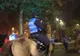 Carmen Dan, convocată în Parlament după ce jandarmii au ieșit călare la proteste