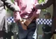 Un bărbat care pregătea un atentat de Anul Nou în Australia a fost arestat