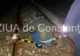 Accident feroviar în județul Constanța. Un bărbat a decedat în urma impactului 