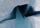 Nu mai e de glumă! Ce se întâmplă sub calota polară prevestește catastrofa (VIDEO)