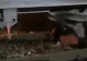 Un bărbat a murit, după ce a fost decapitat de tren în stația Cernavodă