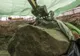 S-au îmbogățit. Stânca de jad de 300 de tone, descoperită în Myanmar, e scoasă la vânzare