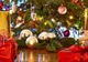 HOROSCOP decembrie 2017. Află ce ţi-au rezervat astrele de Crăciun şi Revelion
