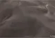 Google Earth, imagine bizară. Primul extraterestru filmat şi pozat?