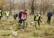 Peste 21.000 de arbori au fost plantați la Poieni-Solca, pe o suprafață forestieră degradată