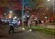 Vrei să protestezi? Jandarmeria te învaţă cum să o faci (VIDEO)
