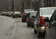 Urșii dau iama în stațiunile de pe Valea Prahovei. Jandarmii, chemați să apere turiștii