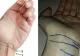 Interesant! Dacă ai aceste 3 linii la mana înseamnă că…
