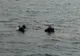 FOTO&VIDEO. Descoperire misterioasă în Lacul Morii. Nimeni nu are nicio explicație