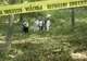 Bărbat în stare de șoc, după ce a făcut o descoperire macabră