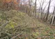 "MASACRUL" unor DOREI de la ENEL. Oamenii și-au pus mâinile în cap când au văzut dezastrul