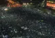 PNL, USR și societatea civilă atacă, ce răspuns dă G. Firea pentru Târgul din Piața Victoriei  